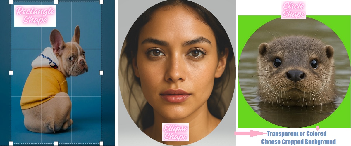 Free Photo Cropper - Crop images online in rectangle, circle and ellipse shapes