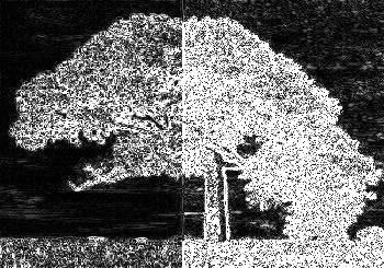 Example showing enhanced image edges and detected object outlines