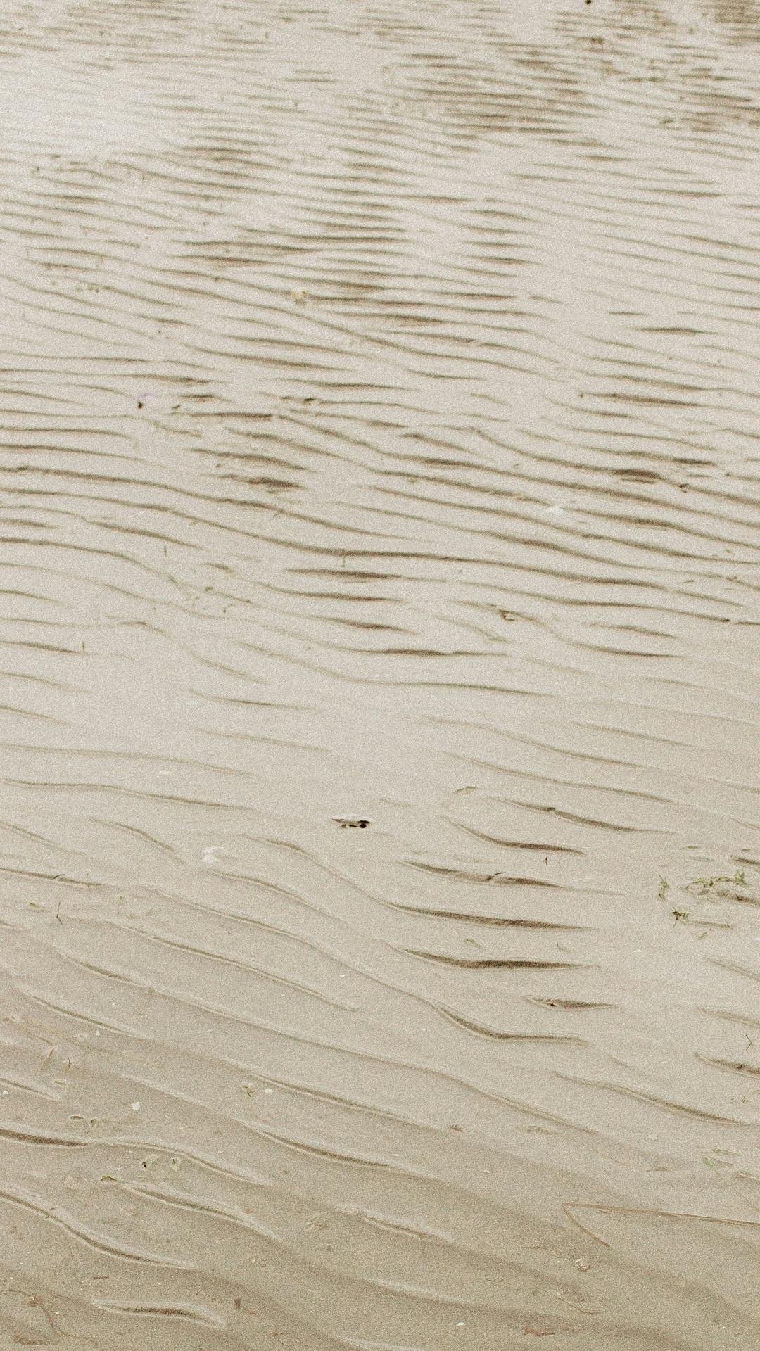 Free desert images background showing textures